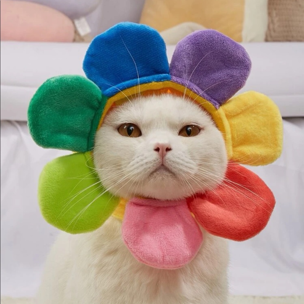 Flower Design Pet Headwear 🐈